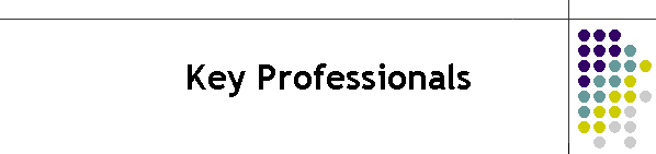 Key Professionals